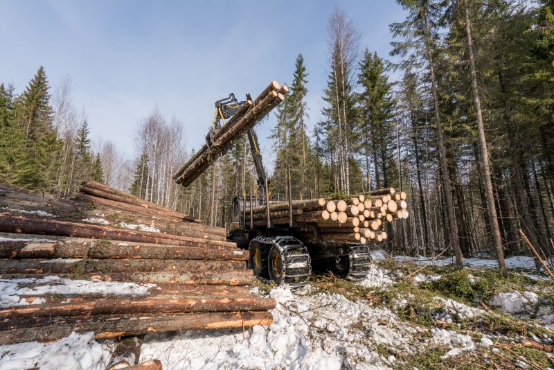Wood Industry