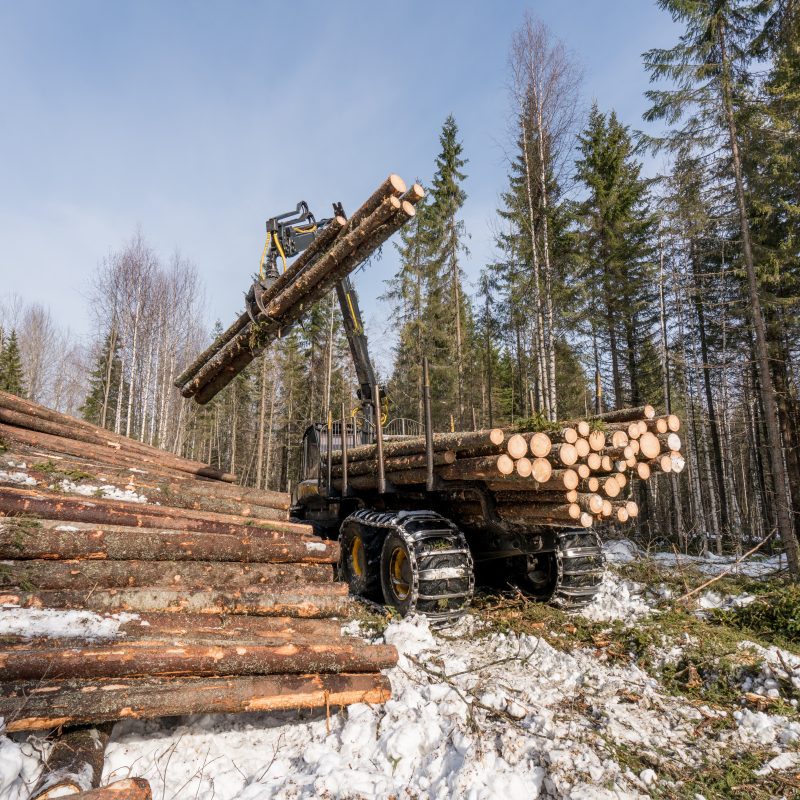 Wood Industry