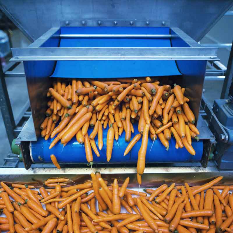Food Industry